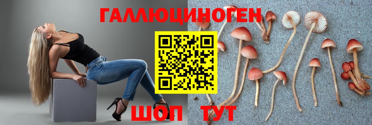 Галлюциногенные грибы прущие грибы Фрязино