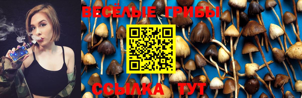 Галлюциногенные грибы Magic Shrooms  Галлюциногенные грибы мицелий  Вход с VPN  дарнет шоп  Фрязино 